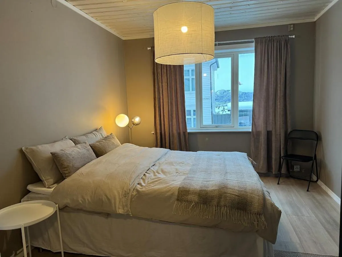 Large Apartment 1 Kilometer To Bryggen Bergen 0*,  Norway
