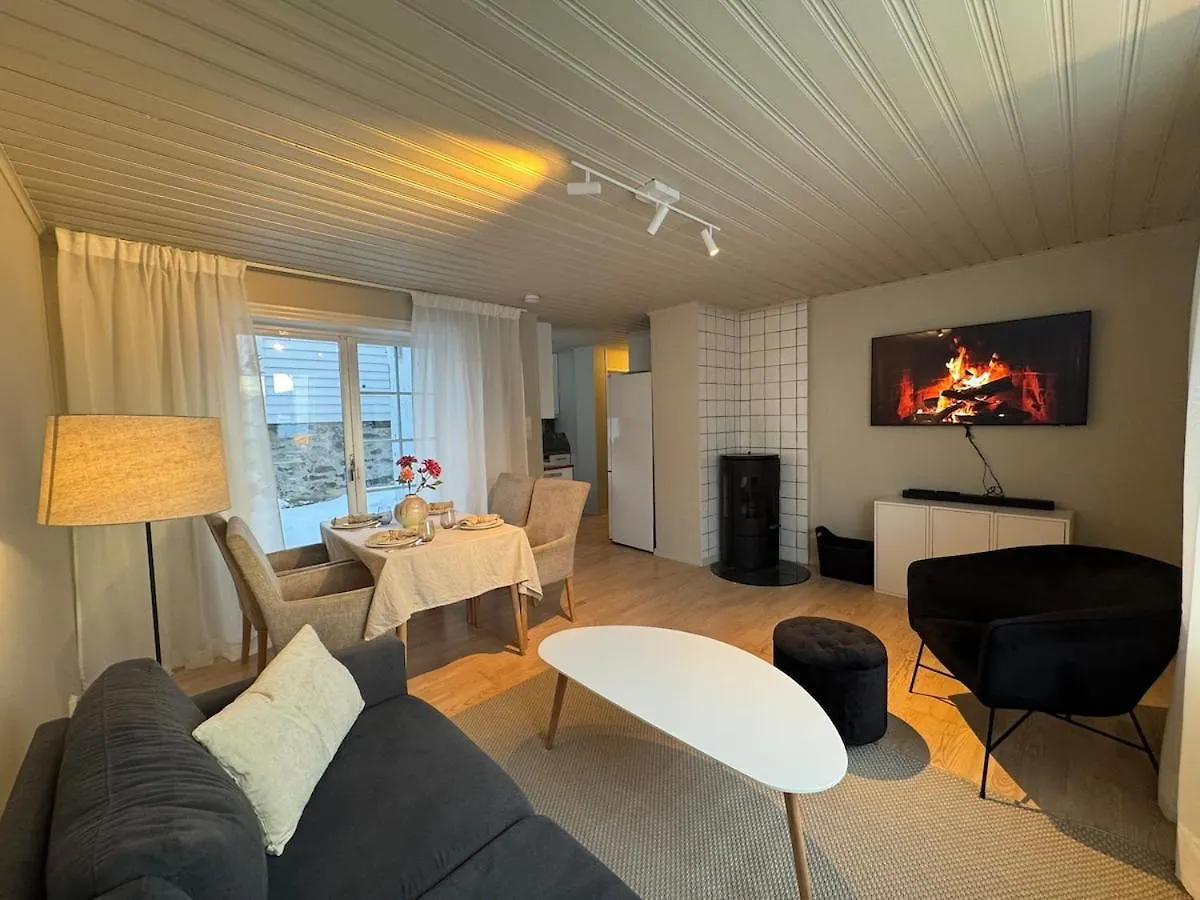 Large Apartment 1 Kilometer To Bryggen Bergen