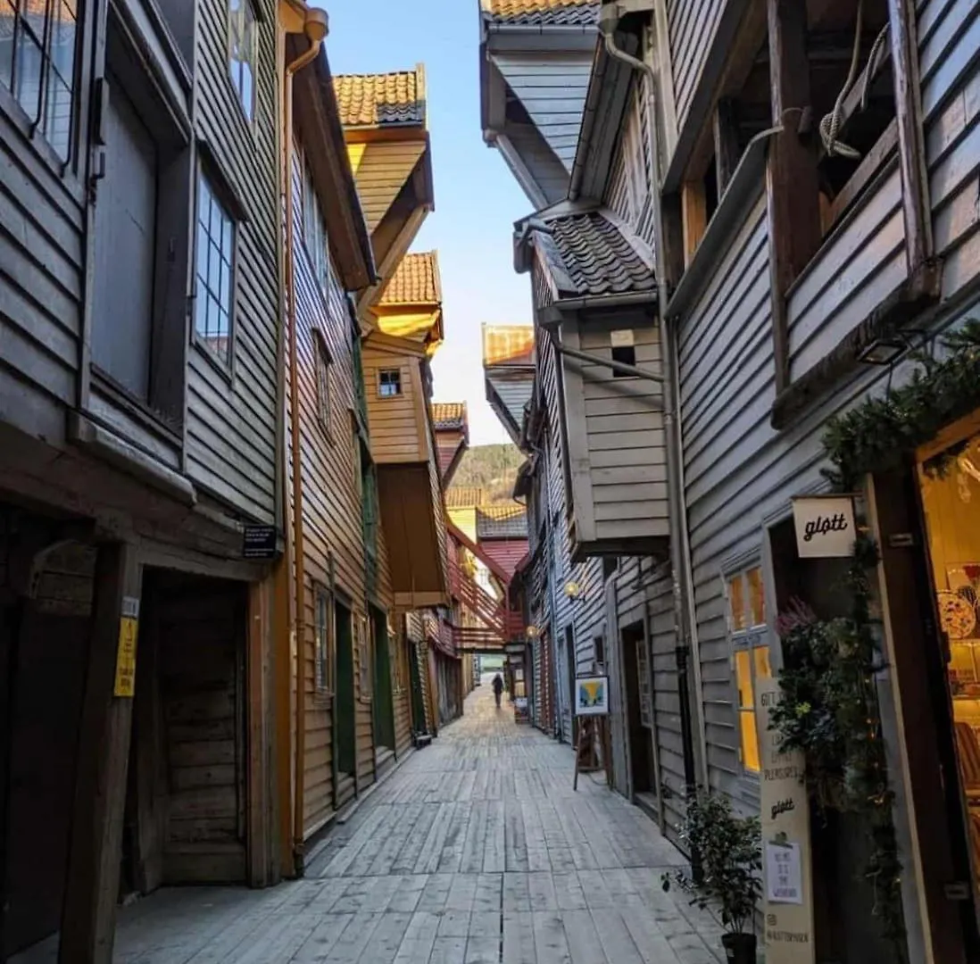 Large Apartment 1 Kilometer To Bryggen Bergen